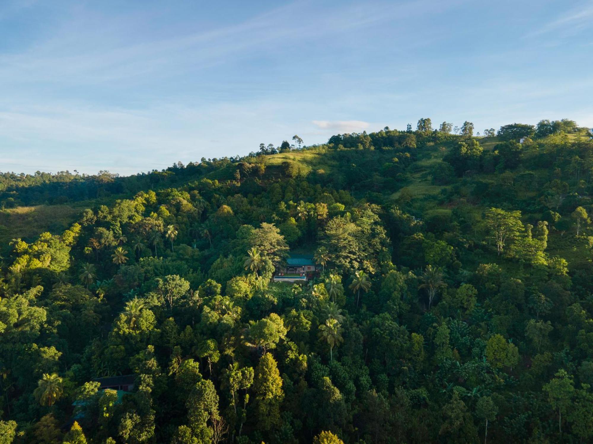 Mount Havana Kandy Exteriör bild